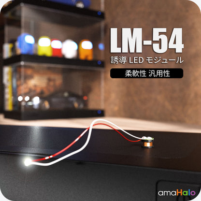 LM-54 誘導LEDモジュール (4個) 