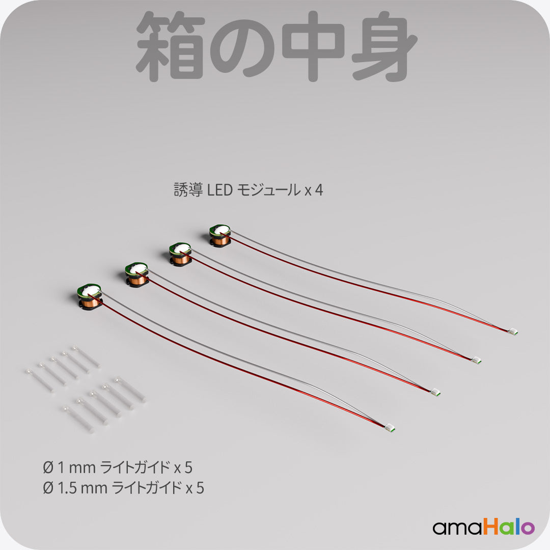 LM-54 誘導LEDモジュール (4個) 